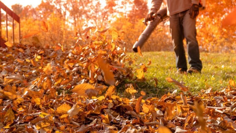 man-leaf-blowing-a-pile-of-leaves